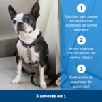PetSafe 3 en 1