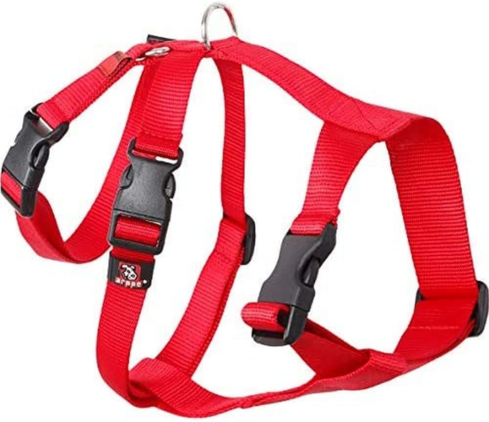 Arppe Nylon Basic Triple — arnés específico para galgo